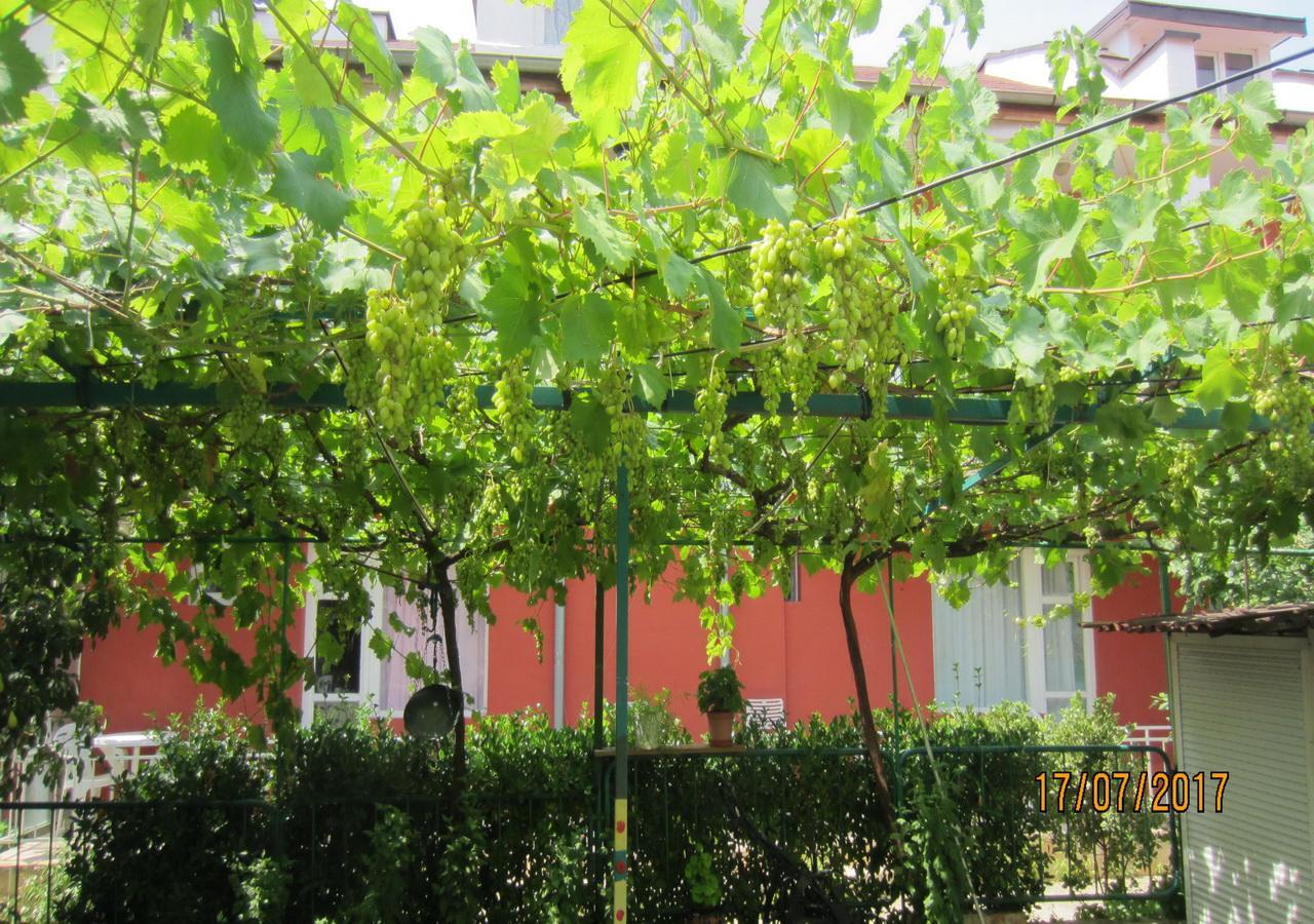 Villa Kosara 圣君士坦丁和海伦那 外观 照片